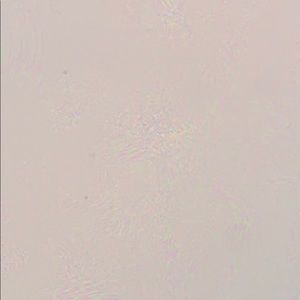 Meet your Posher, Ira